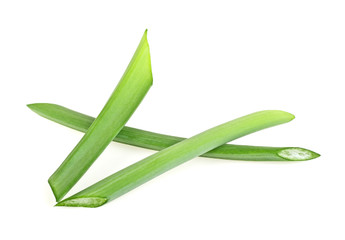 Fototapeta premium Green onion herb chopped isolated on white background