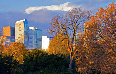 Les immeubles de la défense vus du parc de Bagatelle en automne, bois de Boulogne, Paris