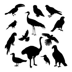 Set of Birds Silhouettes Vector Illustration
