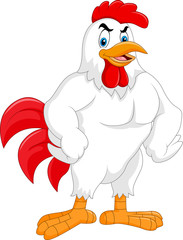 Cartoon rooster posing isolated on white background

