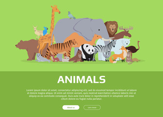 Animals Banner. Website Template
