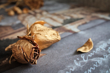 золотые розы, рождество, Фоновый, Текстура