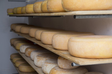 production of smoked cheese