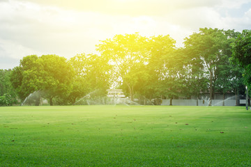 Lawn blur with soft light for background