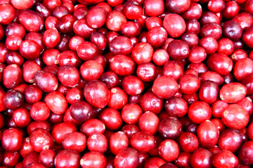 cranberry