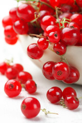 Red currants close-up