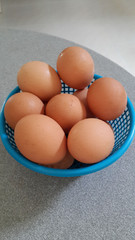 Eggs in blue plastic basket