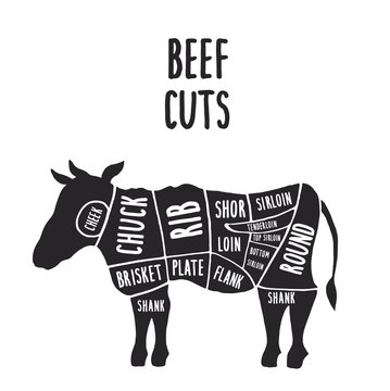 Vector cuts of beef, hand-drawn butcher cuts scheme
