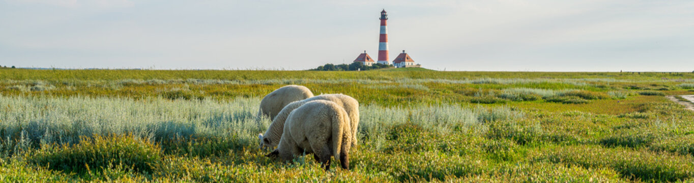Panorama Westerheversand