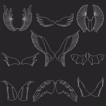 Vector white wings on a gray background, birds, angels, and bats