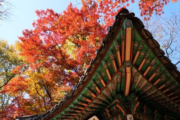 世界遺産　秋の昌徳宮・秘苑