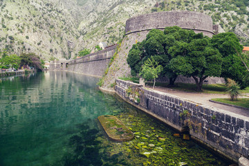 Fototapeta na wymiar Boka Kotor bay (Boka Kotorska), Montenegro.