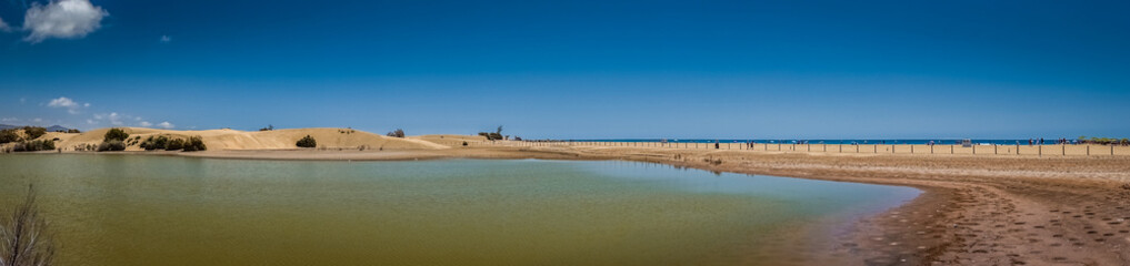 Fototapeta na wymiar Sand dunes and sea panorama