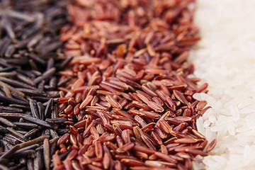 Strips of red, black and white rice close-up. Rice texture background. Macro.