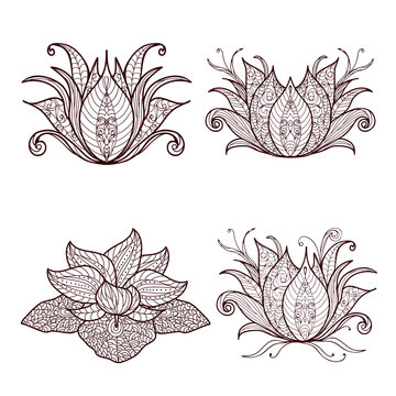 set of lotus flowers