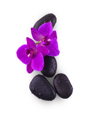 black stones and orchid flower with drops on white