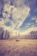 Retro toned autumn landscape in the Grand Teton National Park, Wyoming, USA.