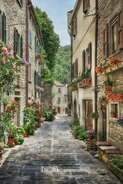 Fototapeta Narrow old street with flowers in Italy