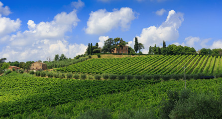 Agricultural landscape in Tuscany