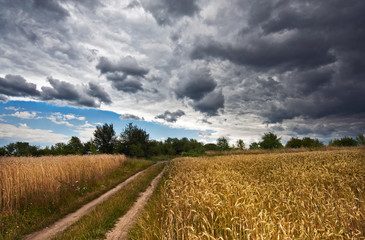 Przed burzą © Aleksandra Madejska