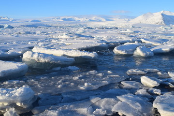 Iceberg en Islandia