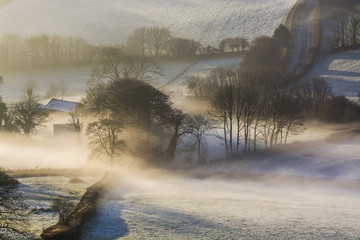 Misty sunrise over the Devonshire fields with trees in view, Brentor , Devon , UK