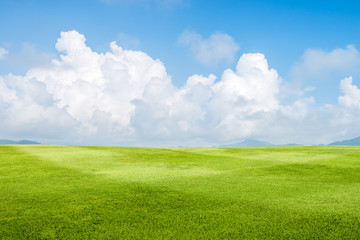 grass field background