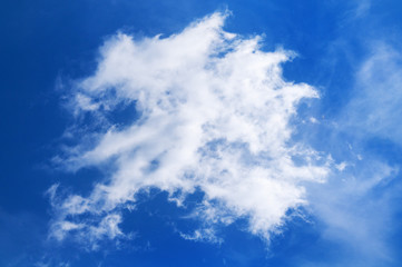 Natural background. The blue sky with a lonely white cloud.