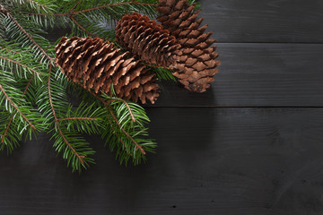 Christmas tree branch with cone on background