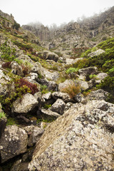 Gran Canaria, Nature park Tamadaba