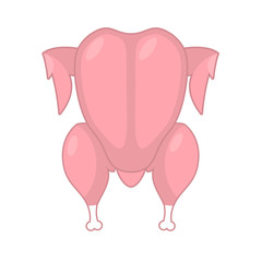 Raw turkey isolated Fresh chicken carcass. fowl on white backgro