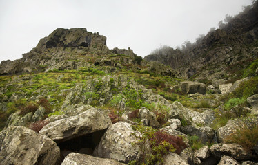 Gran Canaria, Nature park Tamadaba