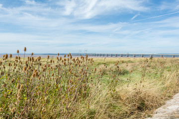 Fototapeta na wymiar Severn Beach