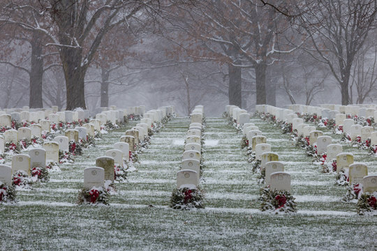 Snow At Arlington National Cemetery