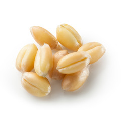 Wheat grain isolated on white background. With clipping path.