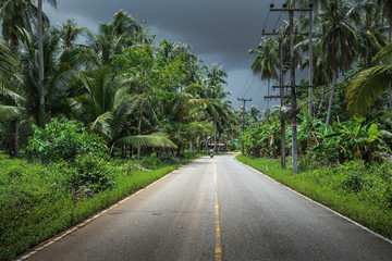 Naklejka premium Highway in the tropics
