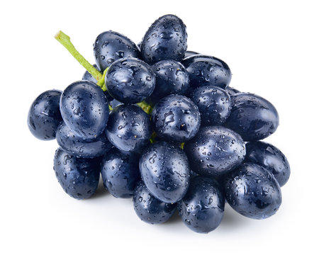 Dark blue grape. Bunch isolated on white background. With clippi