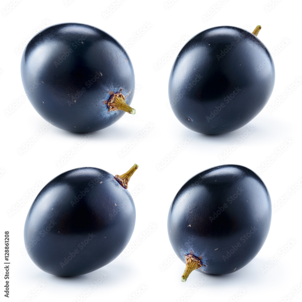 Wall mural dark blue grape isolated on white background. one berry. collect - Wall murals