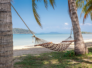 Hammock in the shade of palm trees