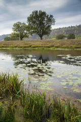 Pond in the countryside in autumn