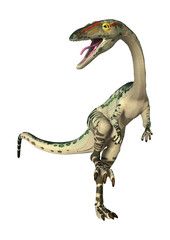 Fototapeta premium 3D Rendering Dinosaur Coelophysis on White