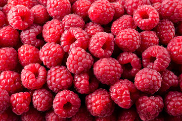 Raspberry. Fresh organic berries macro. Fruit background