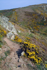 manche cotentin peninsula noramndy france