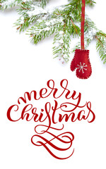 Branch of fir tree on white background with text Merry Christmas. Lettering calligraphy