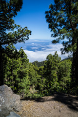 Fototapeta premium Ausblick Richtung la Gomera (la Palma)