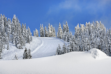 paesaggio con neve fresca e pista da sci
