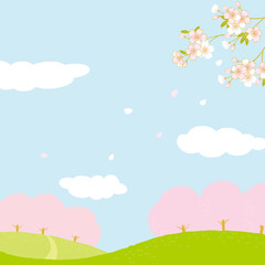 桜の木　風景イラスト