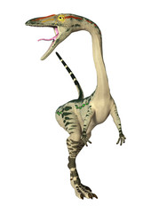 Naklejka premium 3D Rendering Dinosaur Coelophysis on White