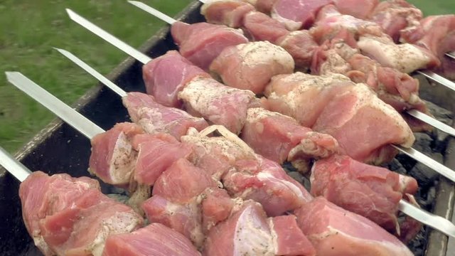 Barbeque skewers with meat cooking on hot coal ember brazier Outdoors picnic concept.