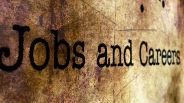 Jobs and carrer